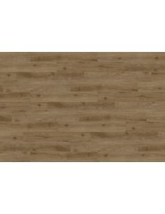 Trilogy Impact 55 Clic